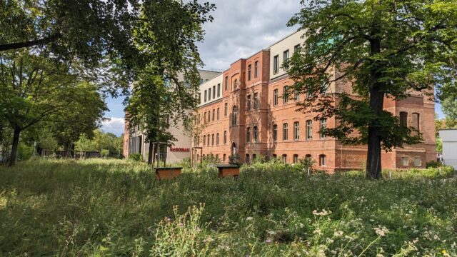 Außenansicht der GESOBAU-Zentrale mit Blühwiese